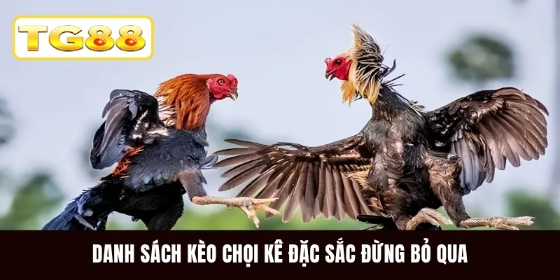 Danh sách kèo chọi kê đặc sắc đừng bỏ qua